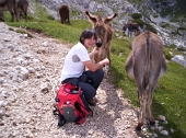 Salita sulla GRIGNA SETTENTRIONALE dal sentiero estivo 25 sul versante valsassinese - sabato 23 luglio 2011 - FOTOGALLERY